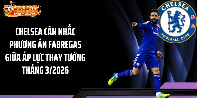 Chelsea cân nhắc phương án Fabregas giữa áp lực thay tướng tháng 3/2026